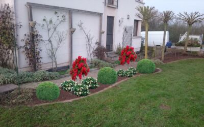 nos-realisations-de-grenge-maennchen-78